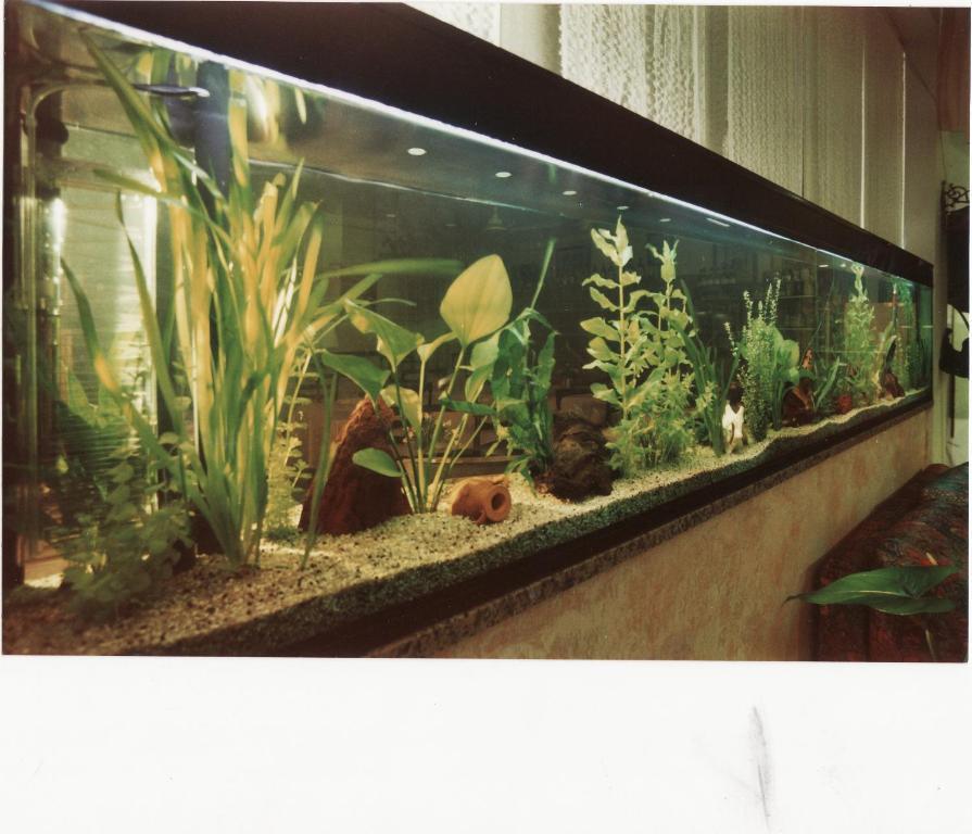 צ'ינקואלה Hotel Manuela מראה חיצוני תמונה